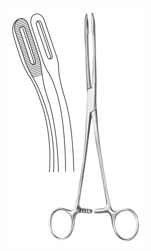 Sponge Forceps